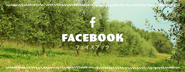 sp_banner_fb